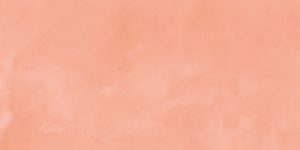 Salmon Microcement